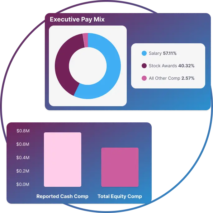 Executive compensation data dashboard preview