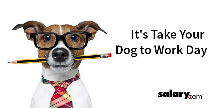 It’s Take Your Dog to Work Day: Now Is Your Dog’s Chance to Bring Home the Bacon