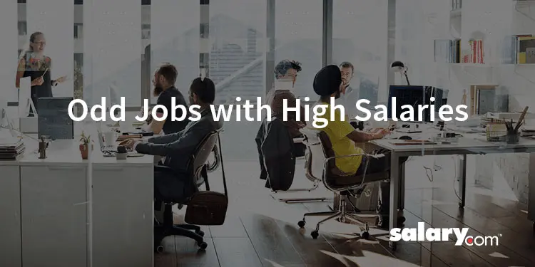 11 Odd Jobs with High Salaries
