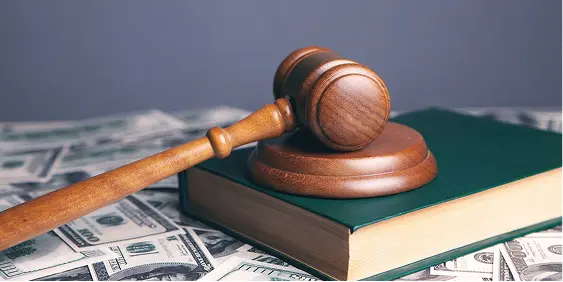 Types of Lawyers: Roles and Specializations