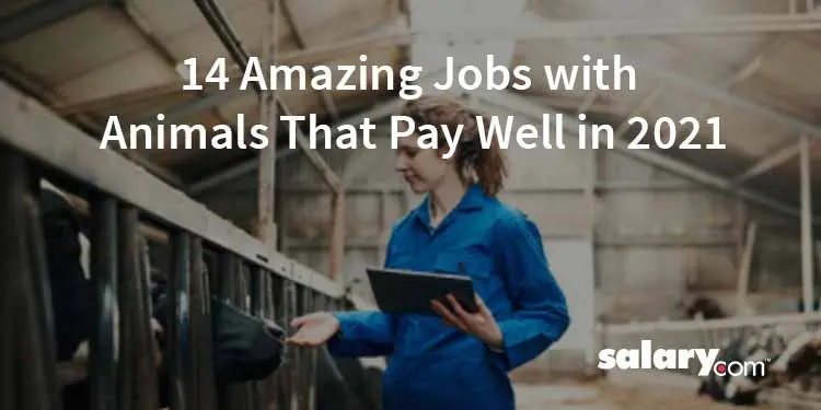 14 Amazing Jobs with Animals That Pay Well in 2021
