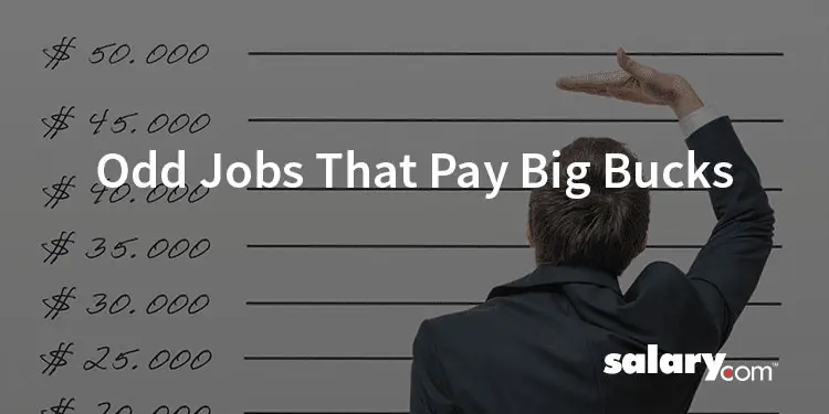 6 More Odd Jobs That Pay Big Bucks