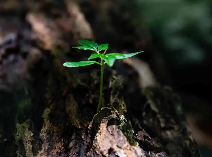 The Josh Bersin Pay Equity Maturity Model