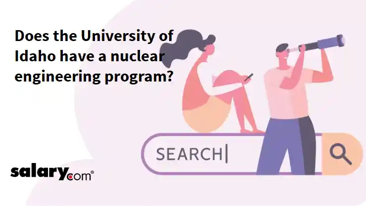 Does the University of Idaho have a nuclear engineering program?