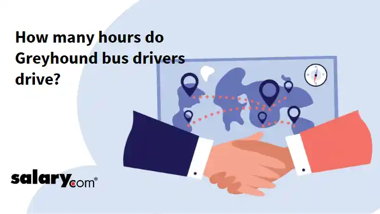 How many hours do Greyhound bus drivers drive?
