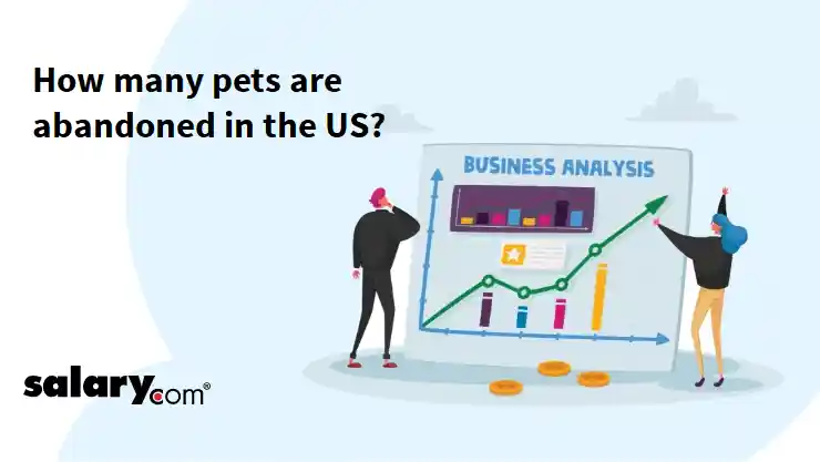 How many pets are abandoned in the US?