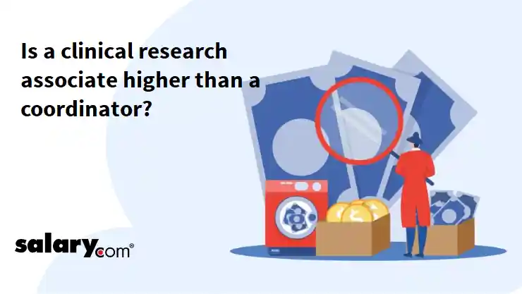 Is a clinical research associate higher than a coordinator?
