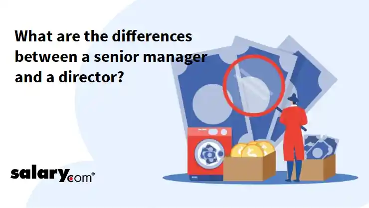 What are the differences between a senior manager and a director?