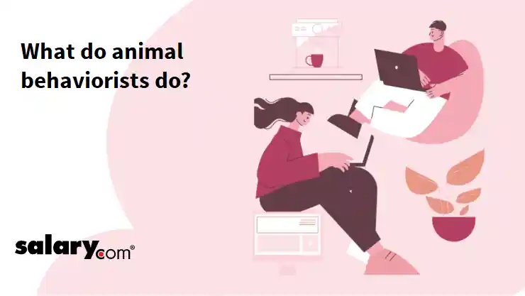 What do animal behaviorists do?
