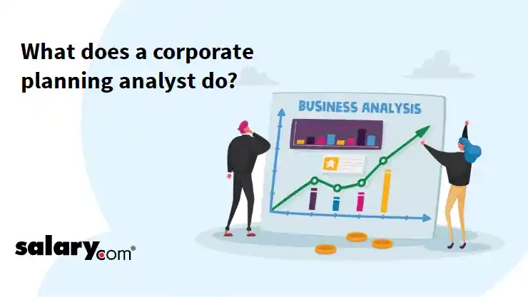 What does a corporate planning analyst do?