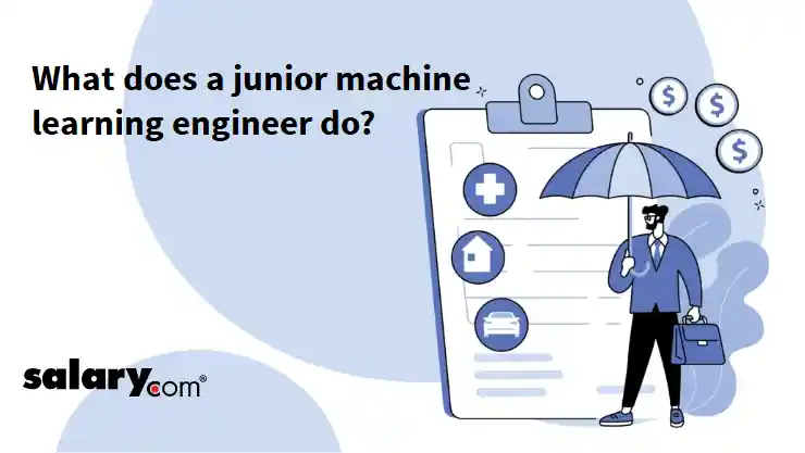 What does a junior machine learning engineer do?