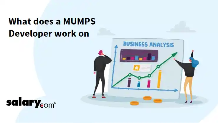 What does a MUMPS Developer work on