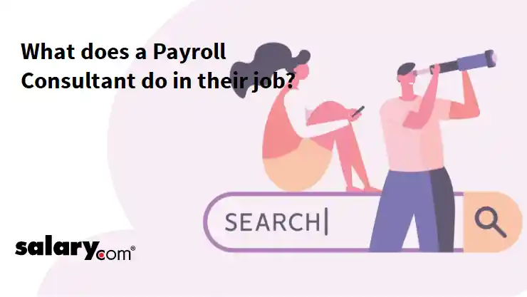 What does a Payroll Consultant do in their job?