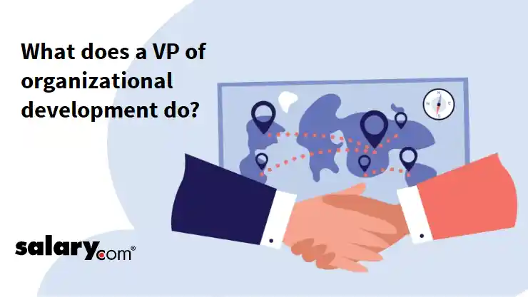 What does a VP of organizational development do?