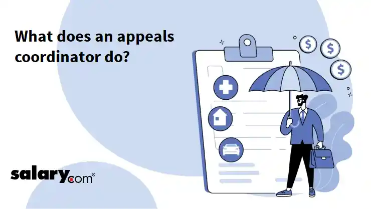 What does an appeals coordinator do?