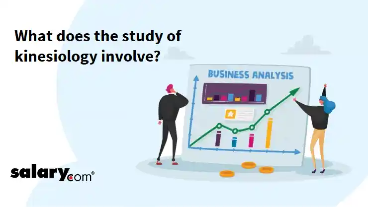 What does the study of kinesiology involve?