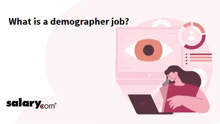 What is a demographer job?
