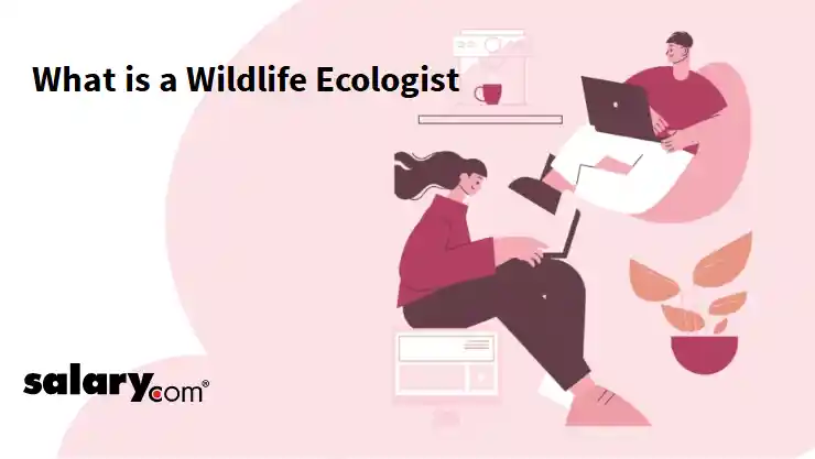 What is a Wildlife Ecologist