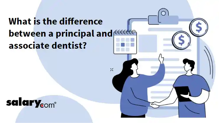 What is the difference between a principal and associate dentist?