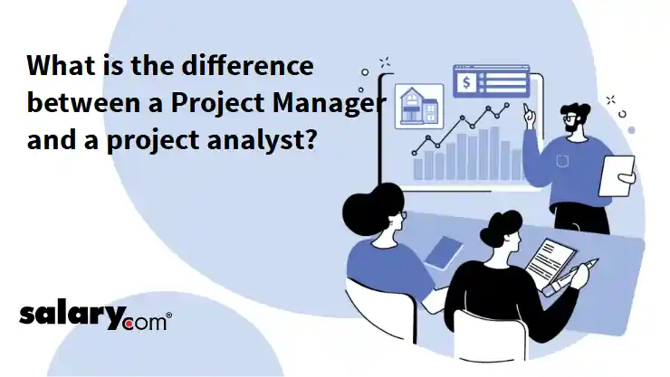 What is the difference between a Project Manager and a project analyst?