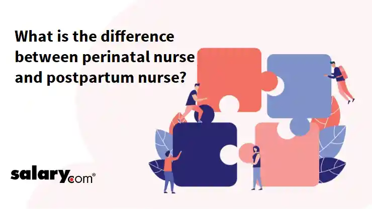 What is the difference between perinatal nurse and postpartum nurse?