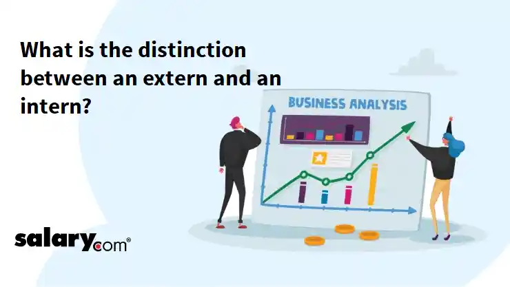 What is the distinction between an extern and an intern?
