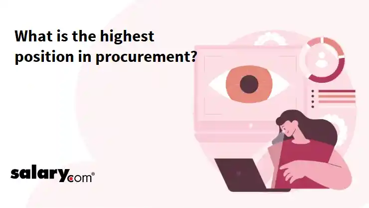 What is the highest position in procurement?