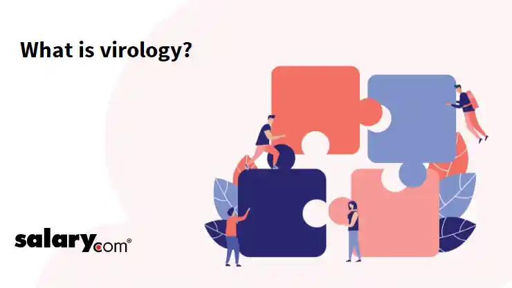 What is virology?