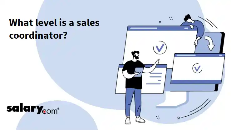 What level is a sales coordinator?