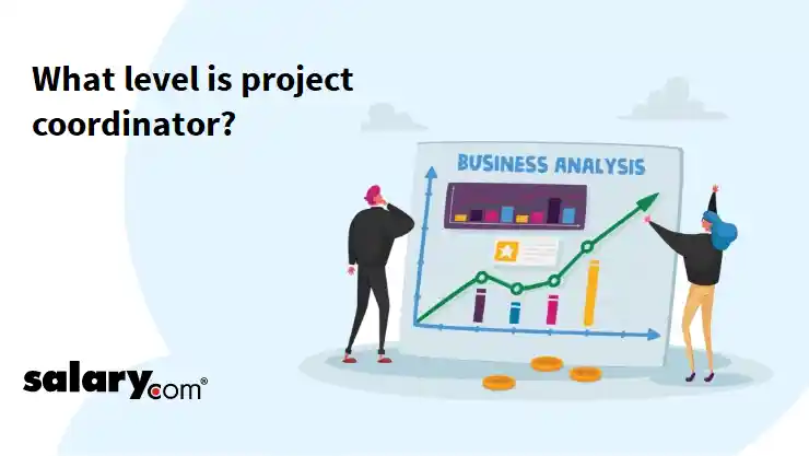 What level is project coordinator?
