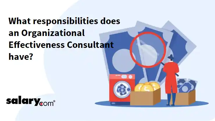 What responsibilities does an Organizational Effectiveness Consultant have?