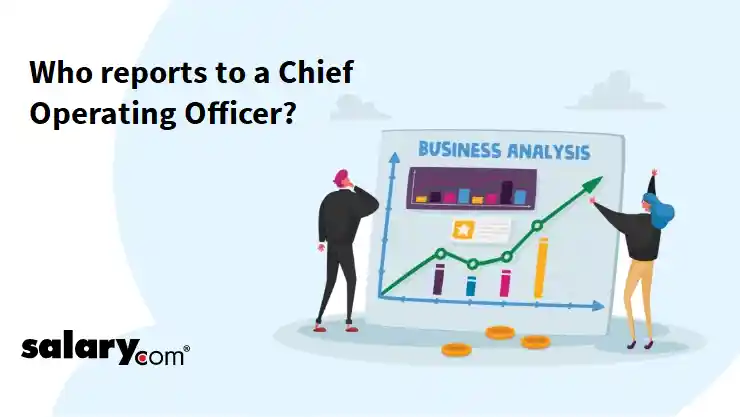 Who reports to a Chief Operating Officer?