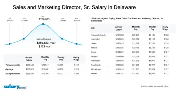 Sales and Marketing Director, Sr. Salary in Delaware