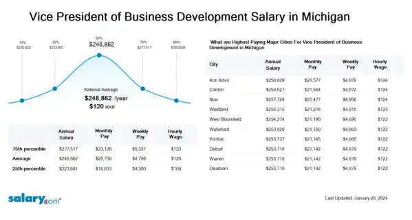 Vice President of Business Development Salary in Michigan