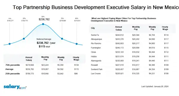 Top Partnership Business Development Executive Salary in New Mexico