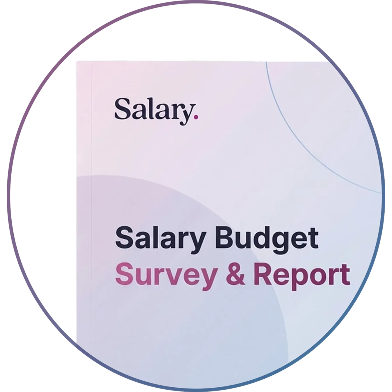 Salary Budget Survey and Report