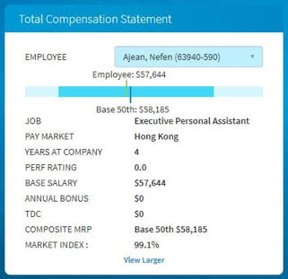 Total Compensation Statement Example