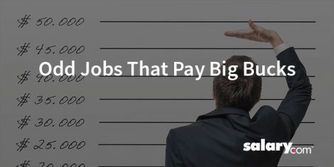 6 Odd Jobs That Pay Big Bucks